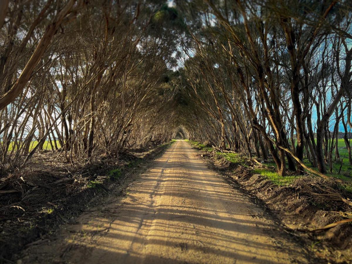 Cabn Kangaroo Island Penneshaw Extérieur photo